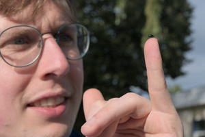 Wie het kleine niet eert...