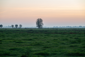 Nederland blijft ook mooi